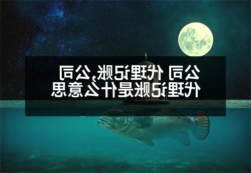 公司 代理记账,公司代理记账是什么意思