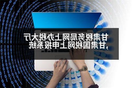 甘肃税务局网上办税大厅,甘肃国税网上申报系统